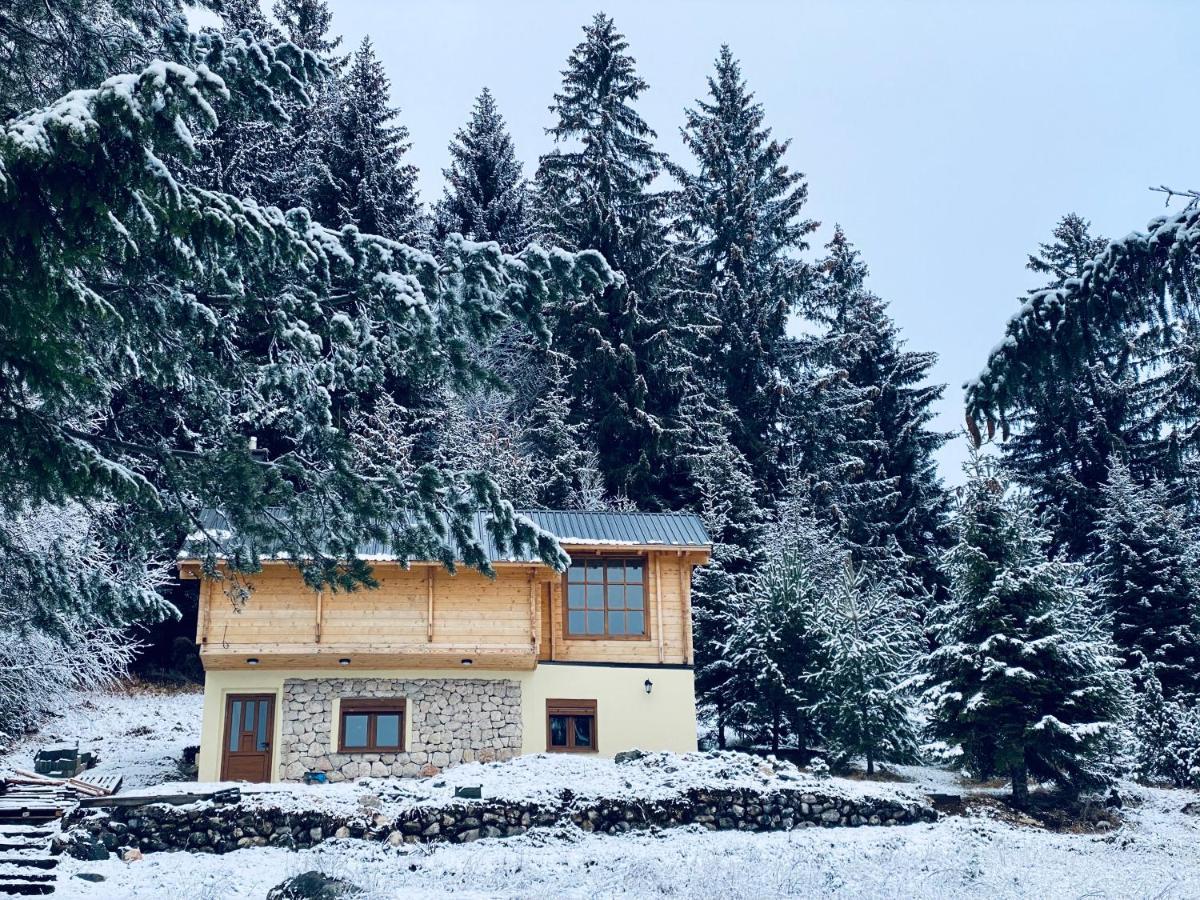 Villa Magia Di Montagna Žabljak Exterior foto